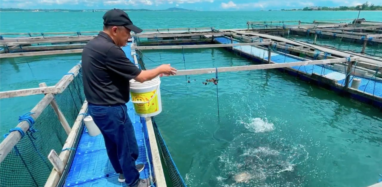 Malcolm Feeding Fishes