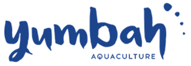 Yumbah Logo