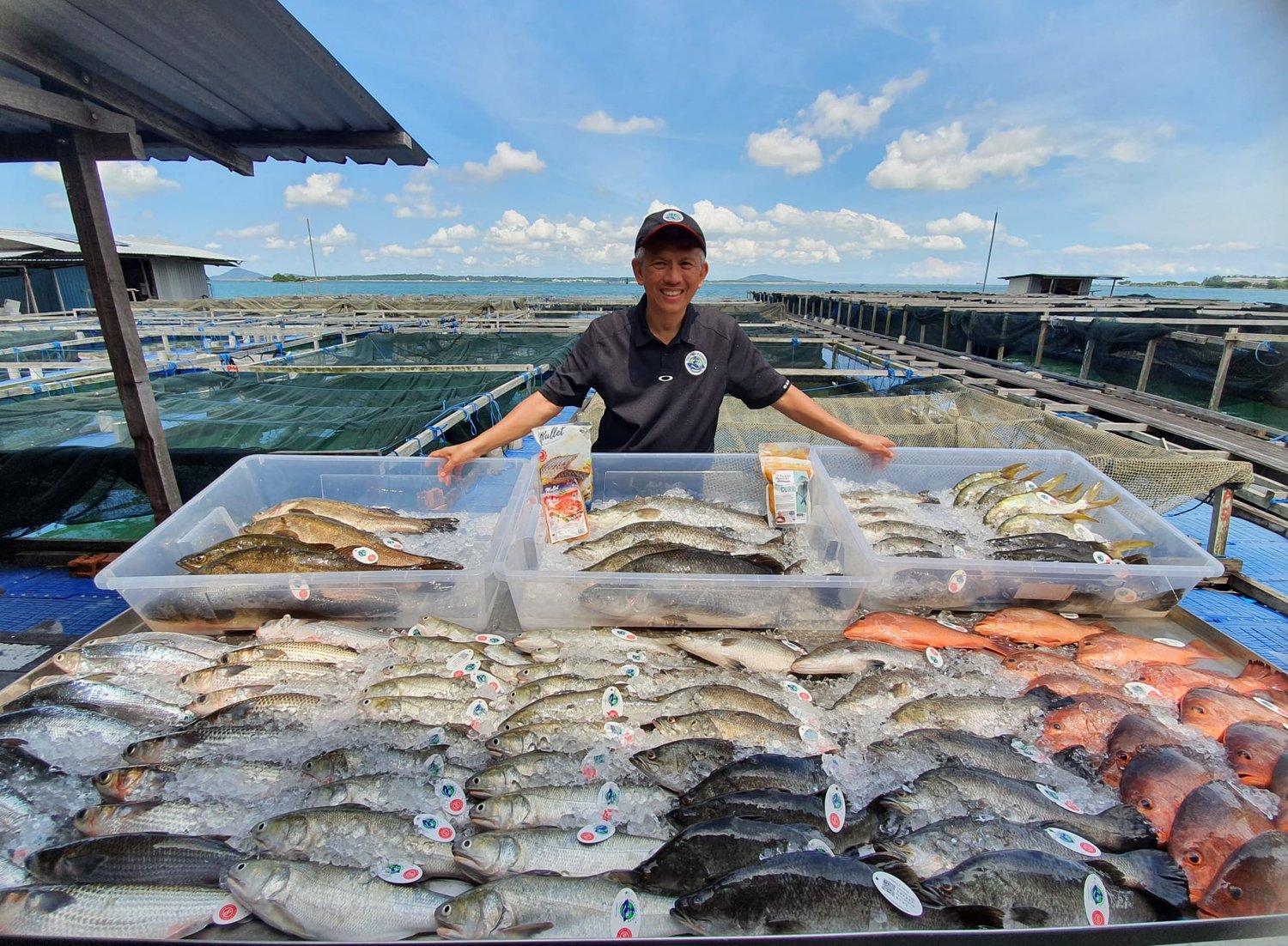 THEHOMEGROUND ASIA CONVERSATION WITH MALCOLM ONG, FOUNDER OF THE FISH