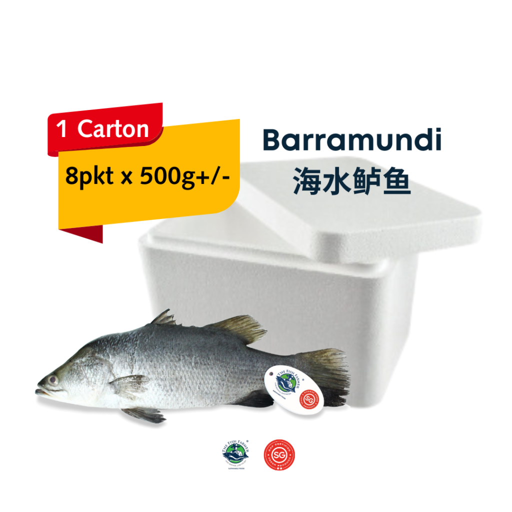 Fresh Barramundi/Seabass (500g) x 8pkt – The Fish Farmer