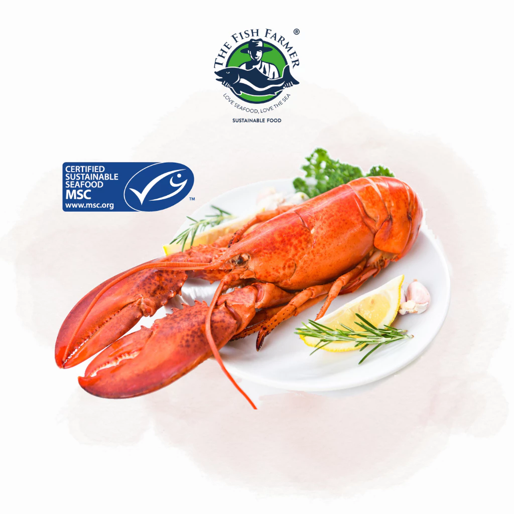 sg-11134207-7rdwp-mdkkcqq2oj4kf2